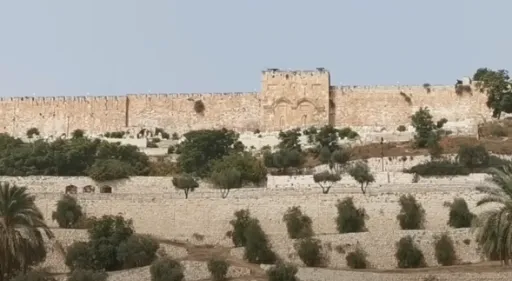 como llegar a jerusalem - Jardín de Getsemaní