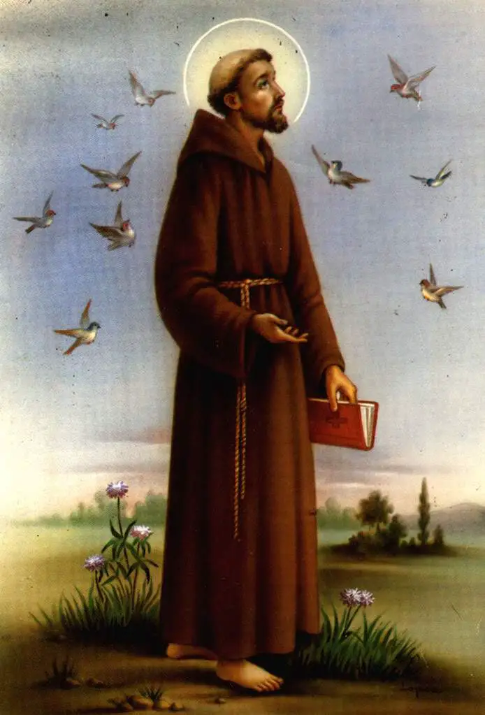 De qué murió San Francisco de Asís